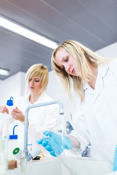 两个女性研究人员在实验室工作 — 图库照片