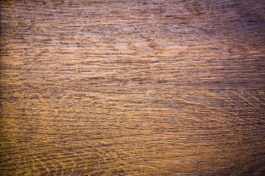 arka plan ağaç, (Renk tonlu görüntü doku)