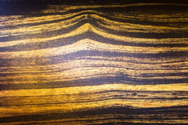 arka plan ağaç, (Renk tonlu görüntü doku)