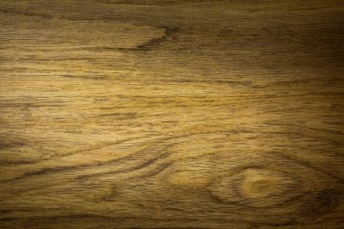 arka plan ağaç, (Renk tonlu görüntü doku)