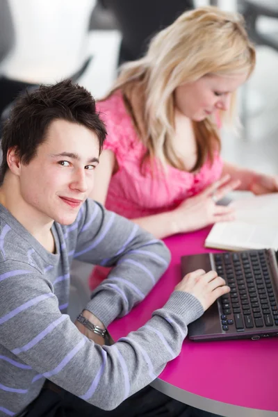 Twee studenten plezier samen, studeren met behulp van een lapto — Stockfoto