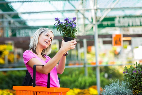 Mladá žena nákup květin v zahradnictví — Stock fotografie