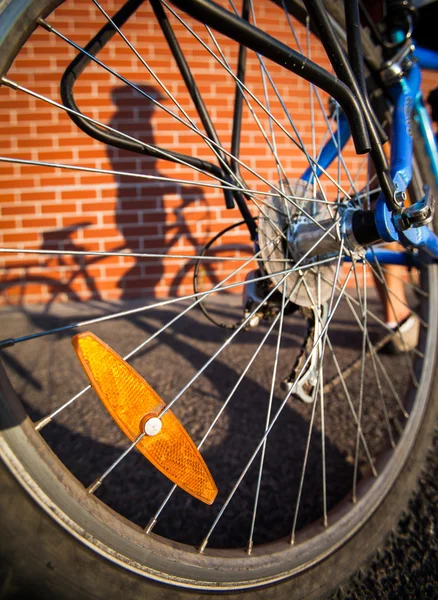 여성 자전거 그림자 — 스톡 사진
