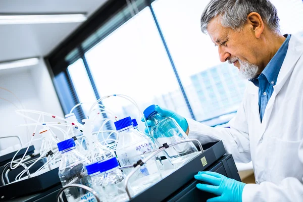 Senior mannelijke onderzoeker uitvoeren van wetenschappelijk onderzoek in een lab — Stockfoto