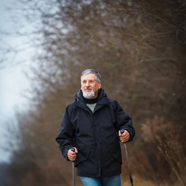 Senior man nordic-walking, genieten van het buitenleven — Stockfoto