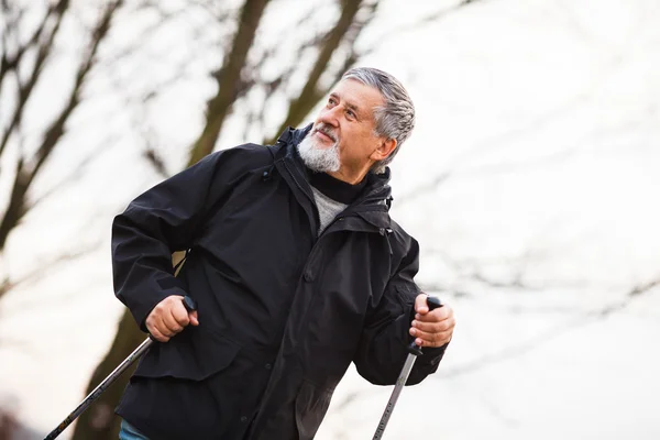 Senior mannen stavgång, njuta av naturen — Stockfoto