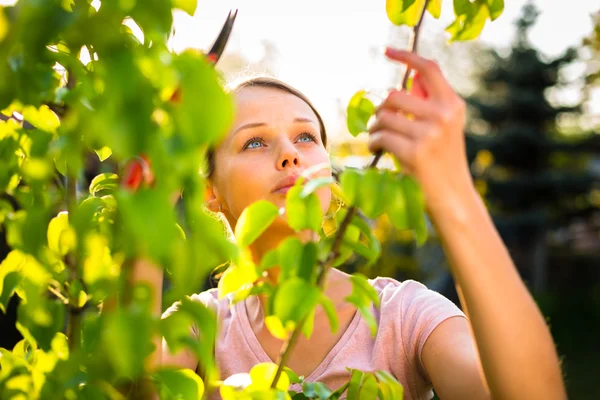 Jardineiro muito feminino cuidando de seu lindo jardim — Fotografia de Stock