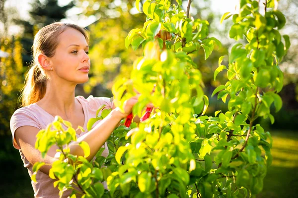 Jardineiro muito feminino cuidando de seu lindo jardim — Fotografia de Stock