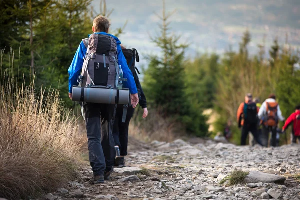 People hiking - goiing down a lovely alpine path — Stock Photo, Image