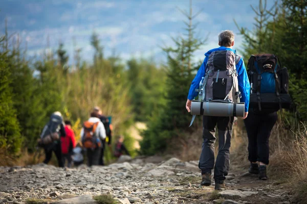 People hiking - goiing down a lovely alpine path — Stock Photo, Image