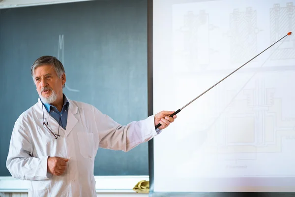 Professor de Química Sénior — Fotografia de Stock