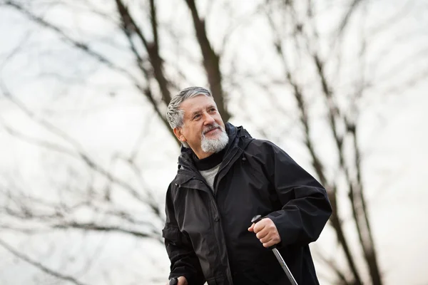 Senior mannen stavgång — Stockfoto