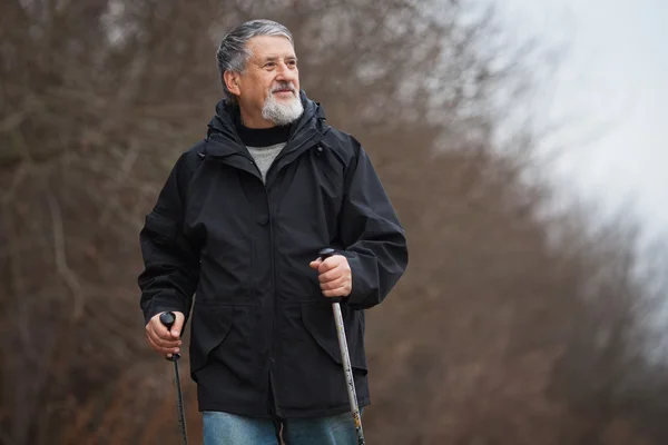 Senior man nordic walking — Stock Photo, Image