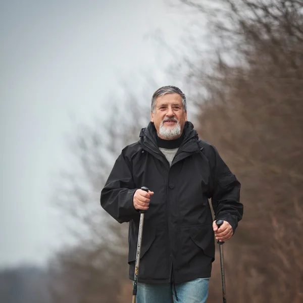 Senior homem nórdico caminhando — Fotografia de Stock