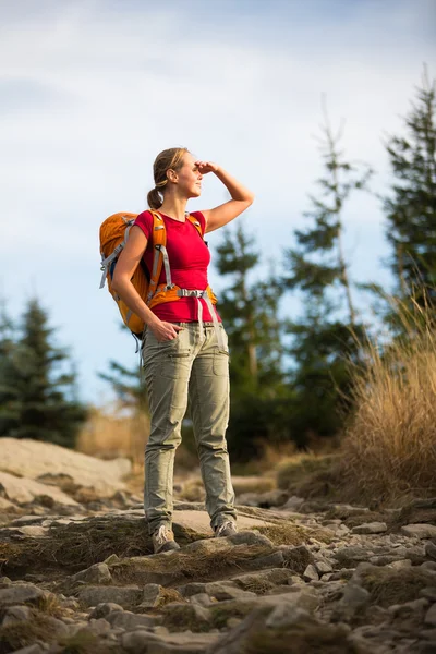 Vacker, kvinnlig hiker — Stockfoto