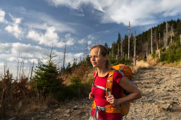 Hübsche, weibliche Wanderin — Stockfoto