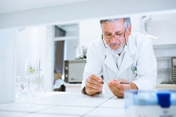 Senior male researcher — Stock Photo, Image