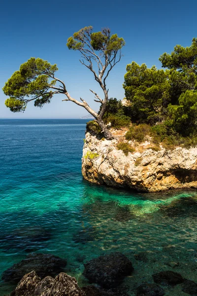 Splendida costa della Croazia — Foto Stock