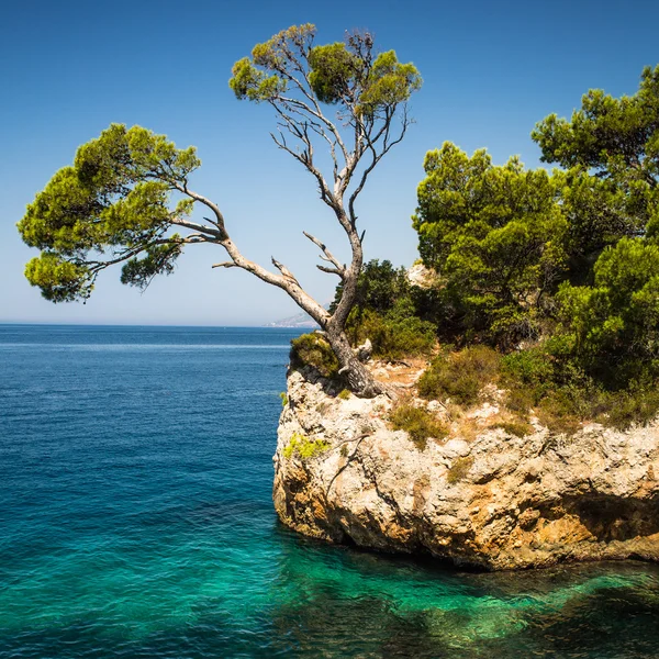 Esplêndido litoral da Croácia — Fotografia de Stock