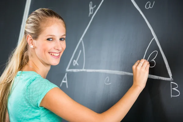 Volksschule, Hochschullehrer — Stockfoto