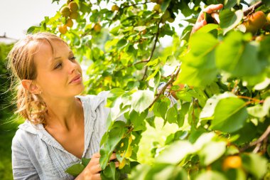 kadın malzeme çekme kayısı