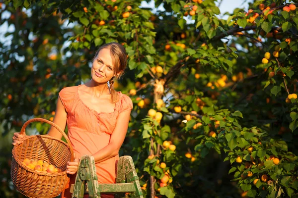 Žena výdeje meruňky — Stock fotografie
