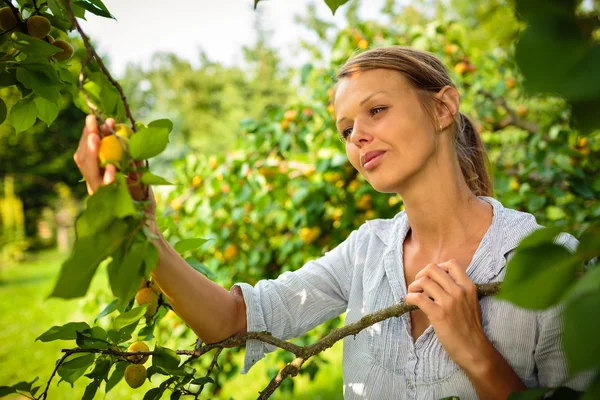 Žena výdeje meruňky — Stock fotografie