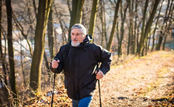 Senior mannen stavgång — Stockfoto