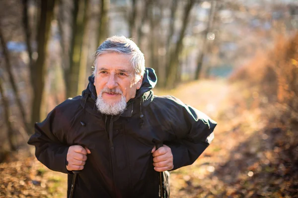 Starszy mężczyzna nordic walkingu — Zdjęcie stockowe