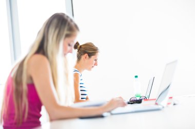 kitap ve laptop çalışma ile kız öğrenci