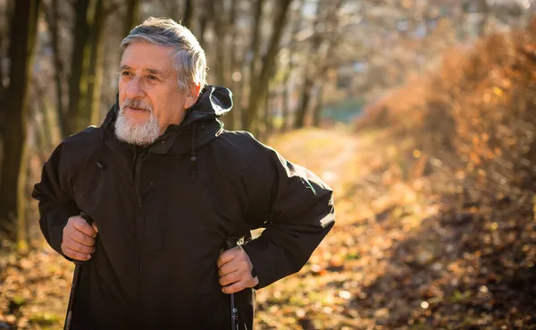 Uomo anziano nordic walking — Foto Stock