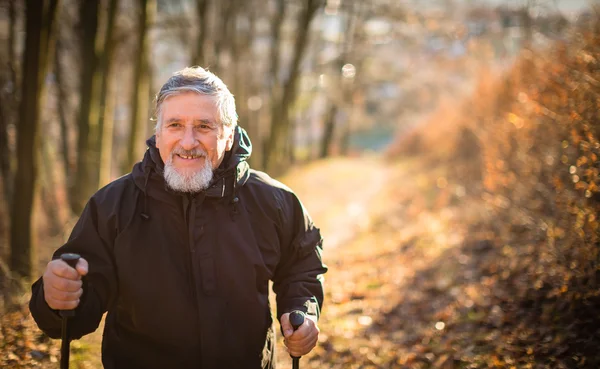 Starszy mężczyzna nordic walkingu — Zdjęcie stockowe