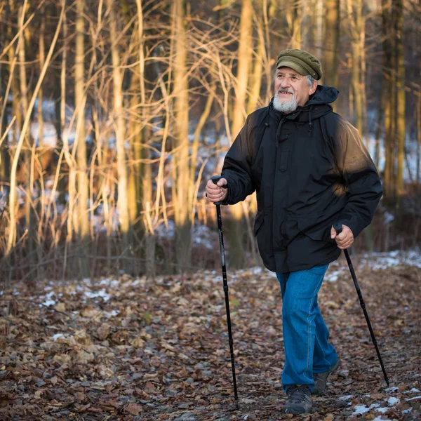 Uomo anziano nordic walking — Foto Stock