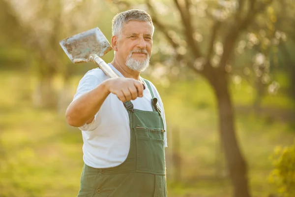 Senior mannen trädgårdsskötsel — Stockfoto