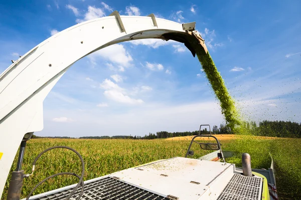 Modern combine harvester unloading — Stock Photo, Image