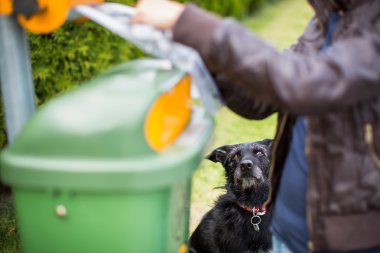 genç kadın bir parkta bir plastik torba kapma