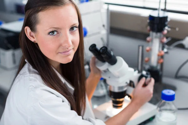 Female researcher carrying out research — Stock Photo, Image