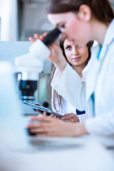 Female researcher carrying out research — Stockfoto