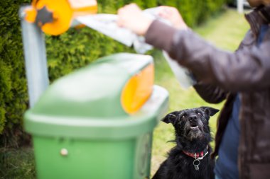 Kadın köpek için plastik torba alır