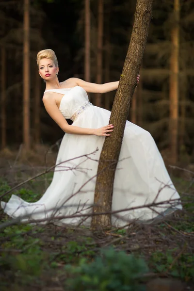 Lovely bride in a forest — Stock Photo, Image