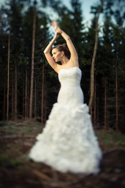 Lovely bride — Stock Photo, Image