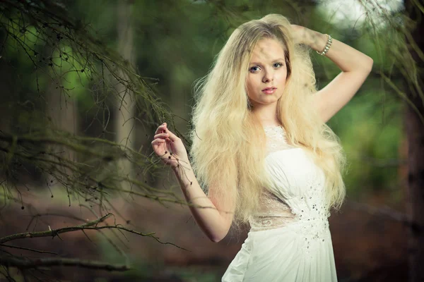 Krásná nevěsta v lese — Stock fotografie