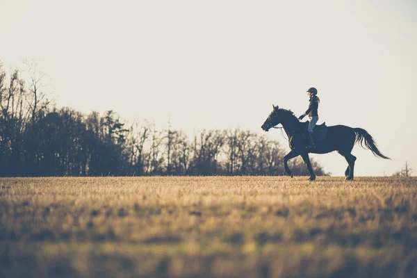 Female Horse Rider Riding Outdoors Her Lovely Horse — Stock Photo, Image