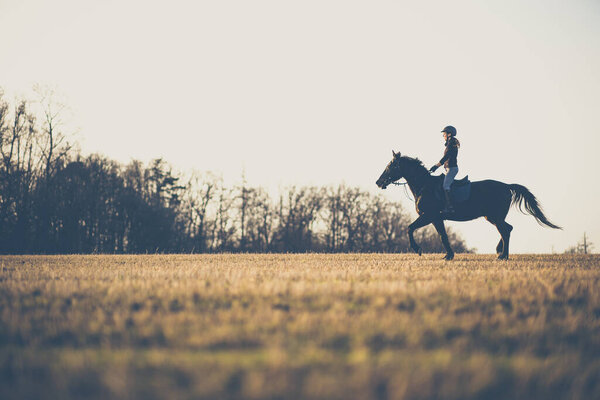 Female horse rider riding outdoors on her lovely horse