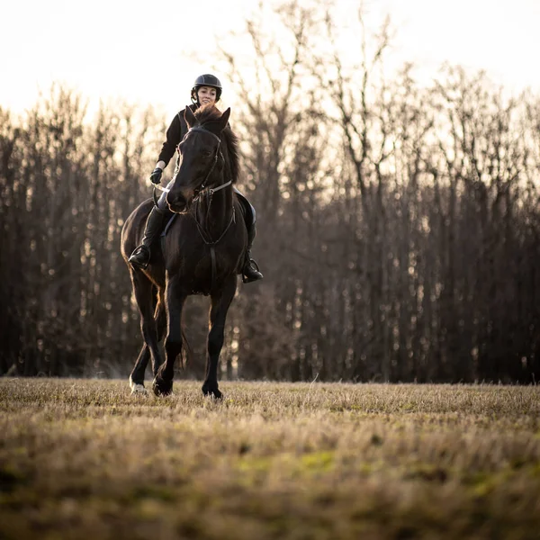 Kvinnlig Ryttare Rider Utomhus Sin Vackra Häst — Stockfoto