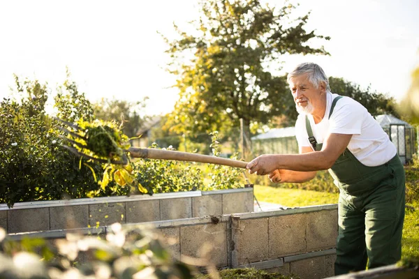 Senior Gardenr Gardening His Permaculture Garden — Stock Photo, Image