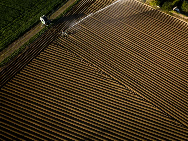 Fiekd Agricultura Intensa Que Riega Con Enormes Cantidades Agua Día —  Fotos de Stock