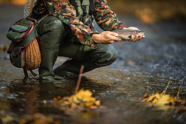 Vista Perto Das Mãos Pescador Mosca Que Prende Uma Truta — Fotografia de Stock