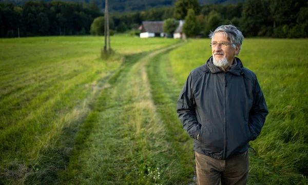 Hombre Mayor Disfrutando Del Aire Libre Senderismo Caminar Través Naturaleza — Foto de Stock