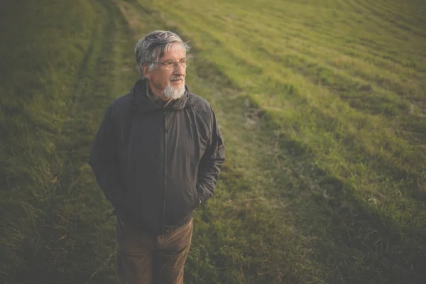 Homem Sênior Desfrutando Livre Caminhadas Caminhando Através Natureza Encantadora — Fotografia de Stock